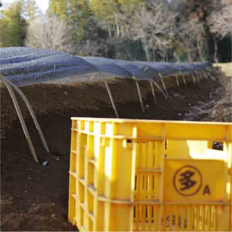 秋山農園について